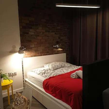 דירה Cracow Fancy Brick #1 - Old Town